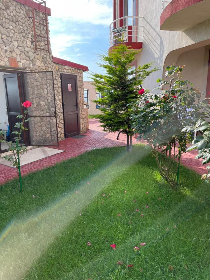 Vila Julia Costinesti Exterior foto